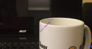 Bunny Blogger mug with laptop