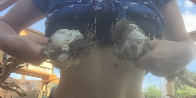 Garlics in front of breasts