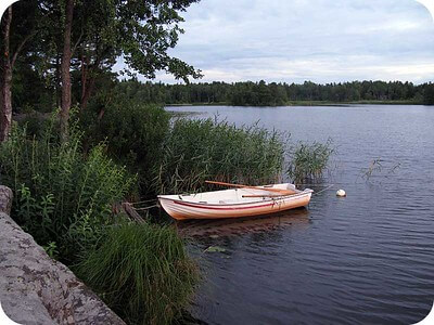 Rowing boat by lake