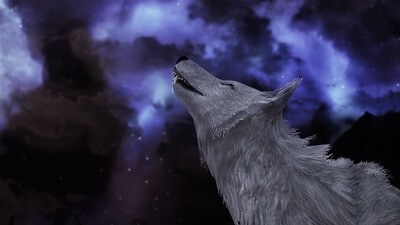 wolf