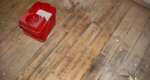 dust on a wooden floor with a mop bucket