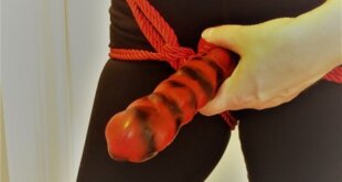 Luv Bunny with red rope harness and strap-on Tantus Paisley silicone dildo